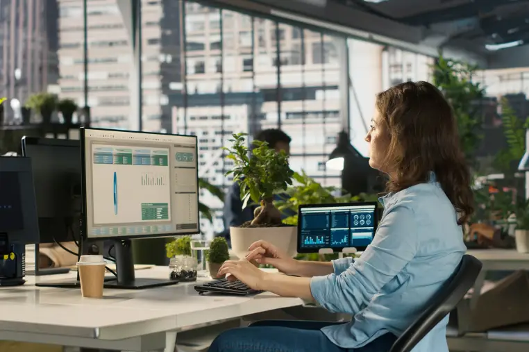 Salesforce ERP Client Section